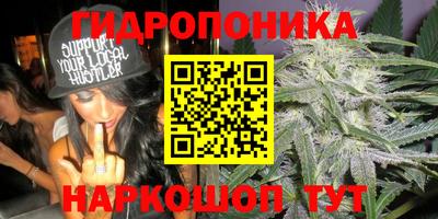Альфа ПВП Ипатово