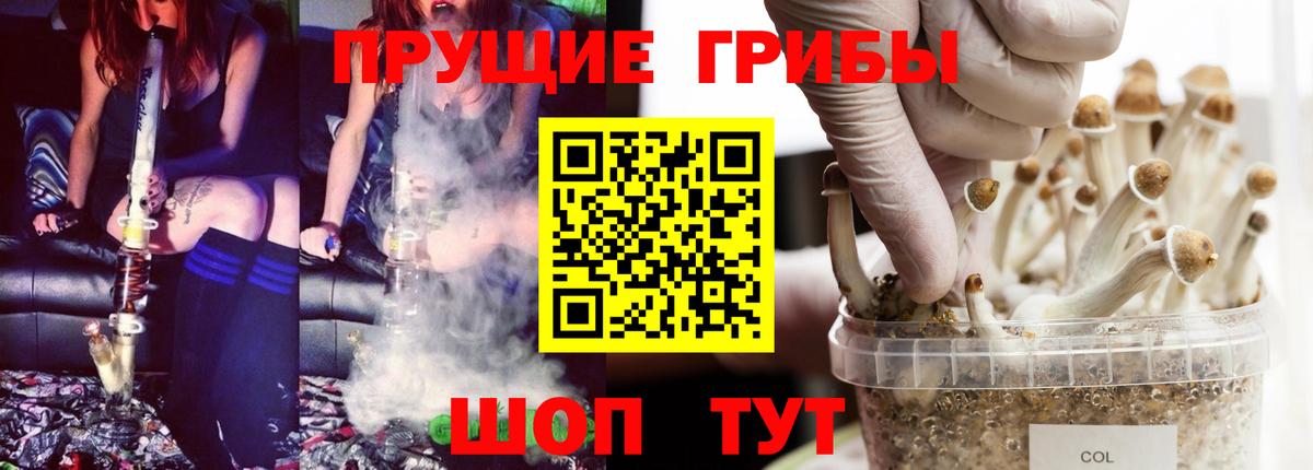 Галлюциногенные грибы GOLDEN TEACHER  Галлюциногенные грибы мицелий  Гусь-Хрустальный  Вход с VPN 