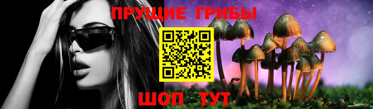 Галлюциногенные грибы Cubensis Гусь-Хрустальный